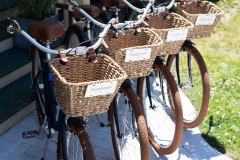 DSC0119-BICYCLES-5