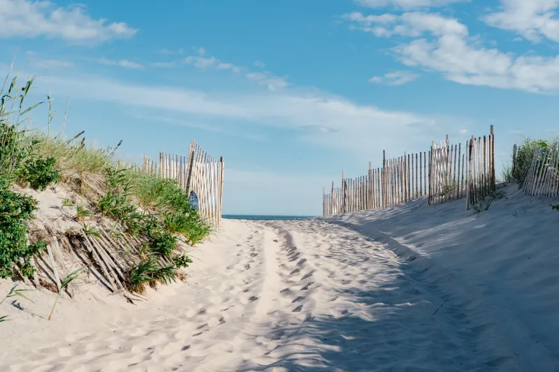 sagaponack-1